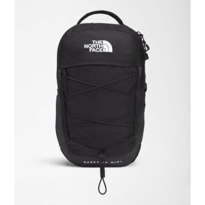 The North Face Borealis Mini Backpack