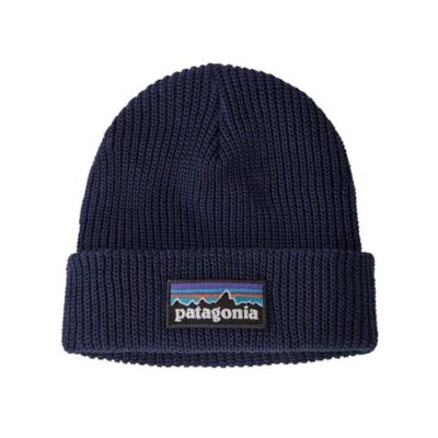 Patagonia Logo Kids Beanie