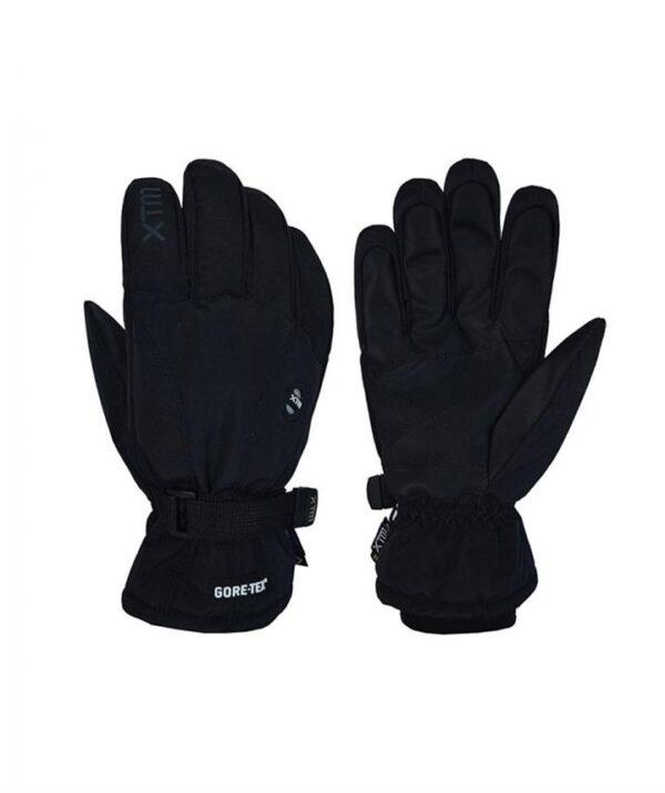 XTM Whistler II GTX Mens Snow Gloves - Black - L
